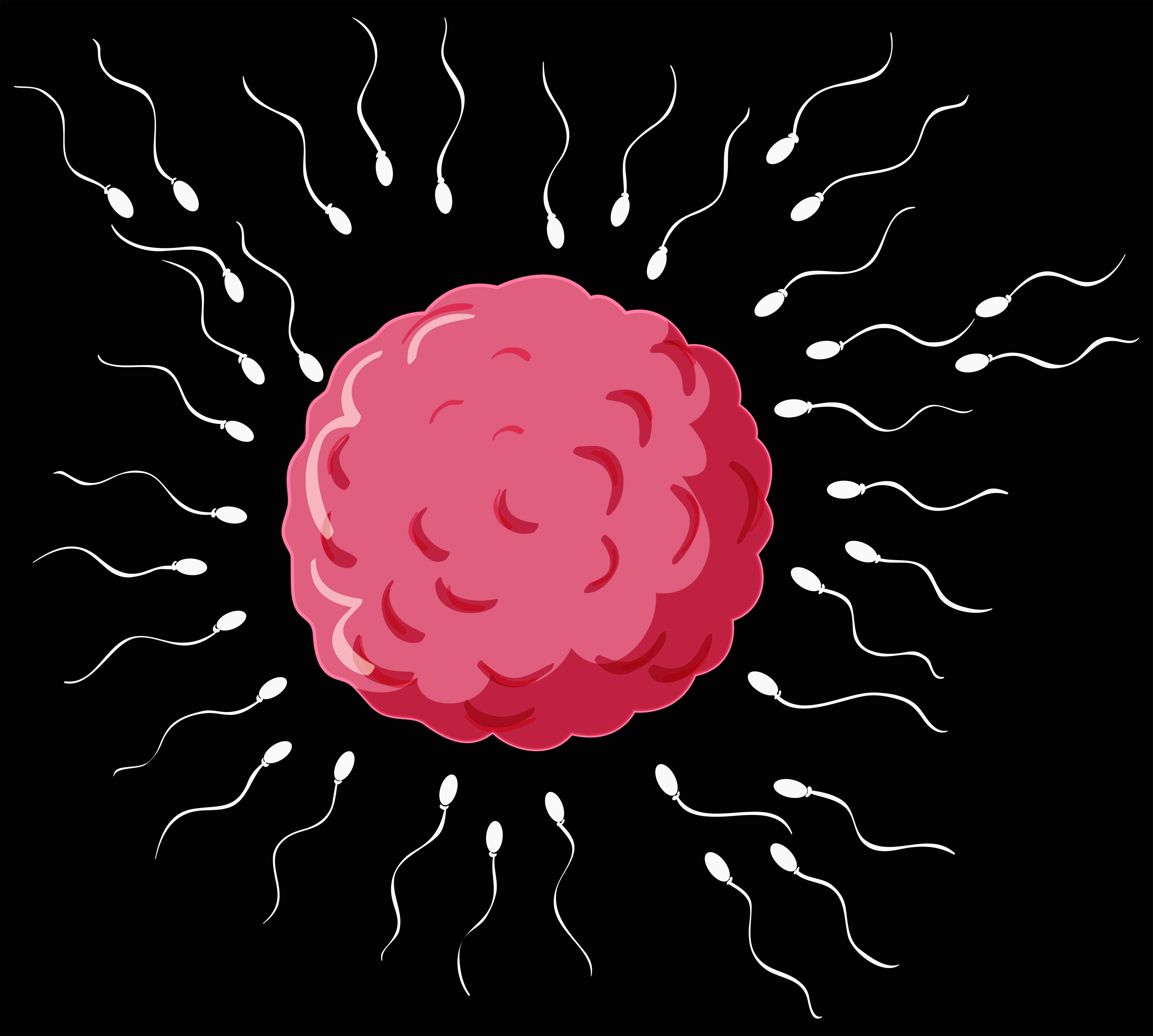 Sperm Health: What Impacts Your Swimmers and How to Improve Them