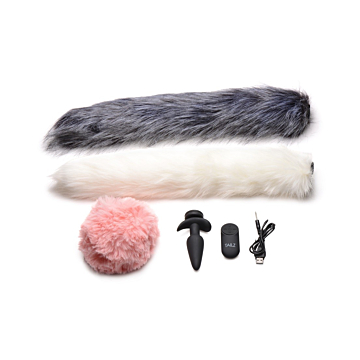 VIBRATOR PLUG W/ CONTROL AND 3 DIFFERENT TAILS