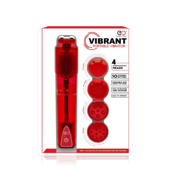 Vibrator with 4 Attachments