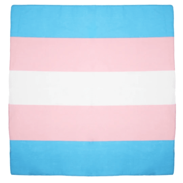 Brand: Trans Bandanas 
Multi-Color Trans Bandanas