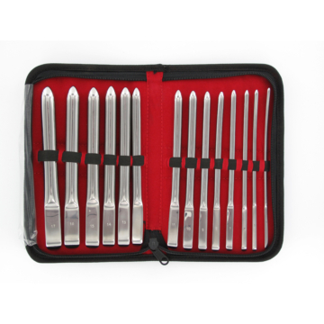 Kiotos Silver Dilator Set