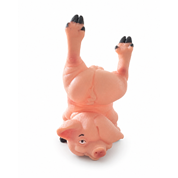 Pigie Pig sweet Penis
