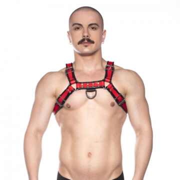 Prowler RED Bull Harness Red Leather