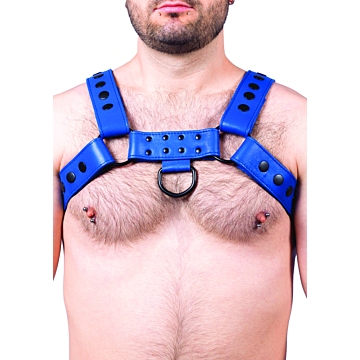 Kinksters Snap Blue Leather Harness - Taille