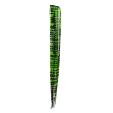 Green Zebra Hair Highlights