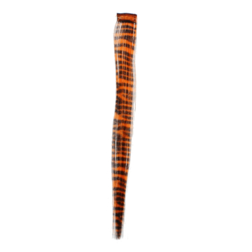 ZebraHair Orange Bold