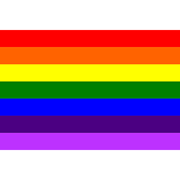 Brand: Rainbow Flag 
Title: Rainbow Flag Stunning Multi Color