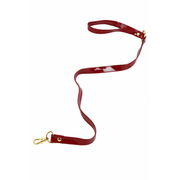 Vinyl leash with wrist strap and carabiner Vinyl leash with wrist strap and carabiner