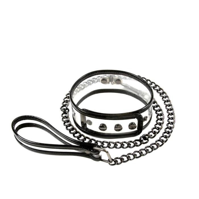Collar & 18 Inch Leash Collar & 18 Inch Leash