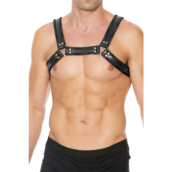 Leather Bulldog Harness with Buckles Leather Bulldog Harness with Buckles