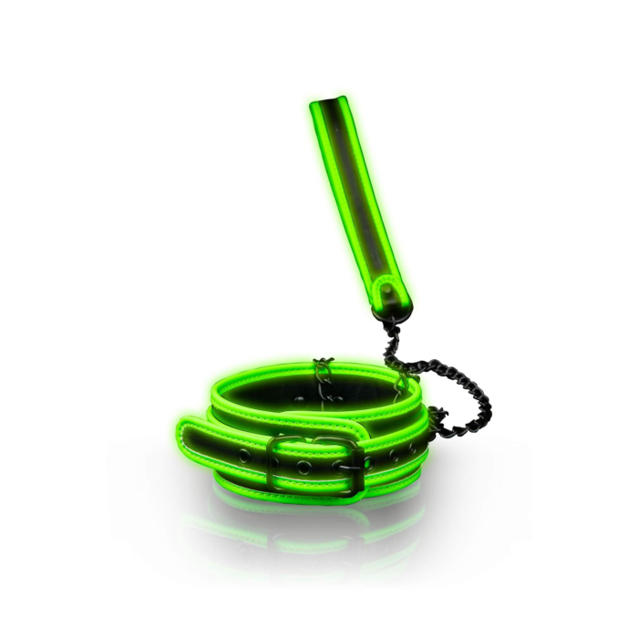 Collar and Leash - Glow in the Dark Collar and Leash - Glow in the Dark