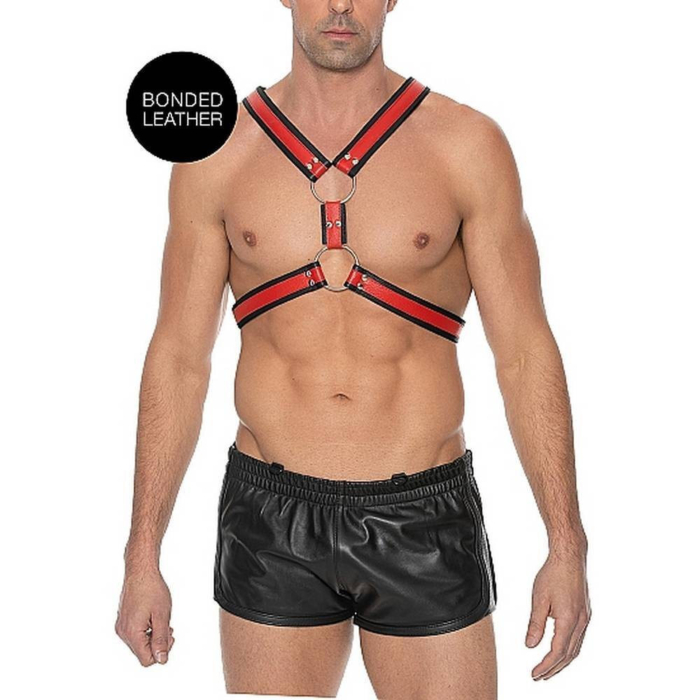 Scottish Leather Harness Scottish Leather Harness